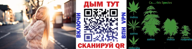 КЕТАМИН Гурьевск