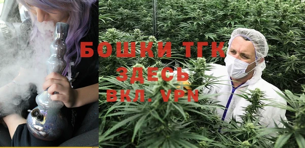 прущие крисы Бородино