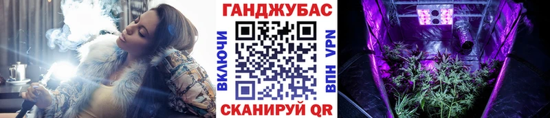 МАРИХУАНА сатива  сколько стоит  Гурьевск 